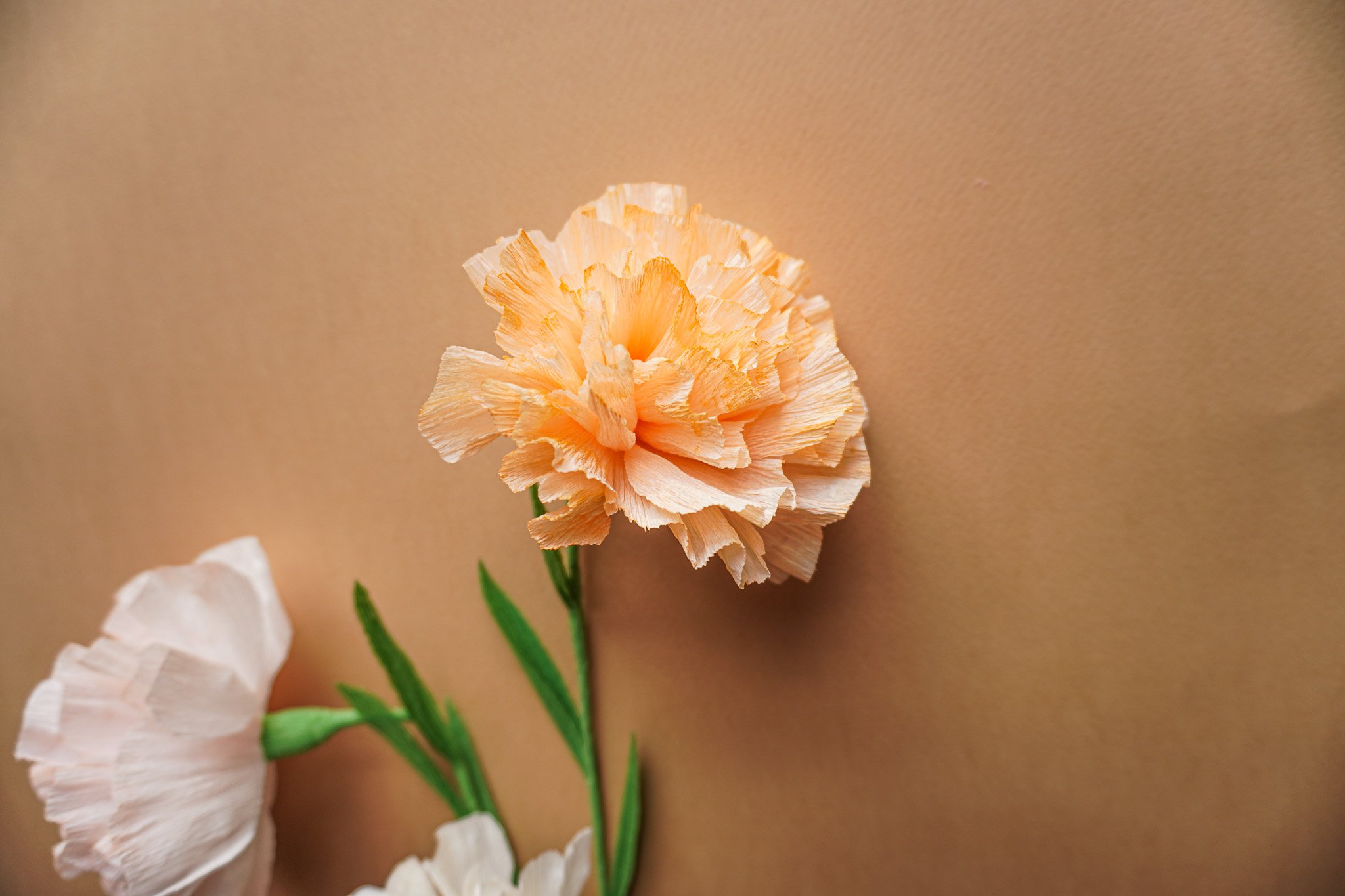 Paper Flowers Workshop