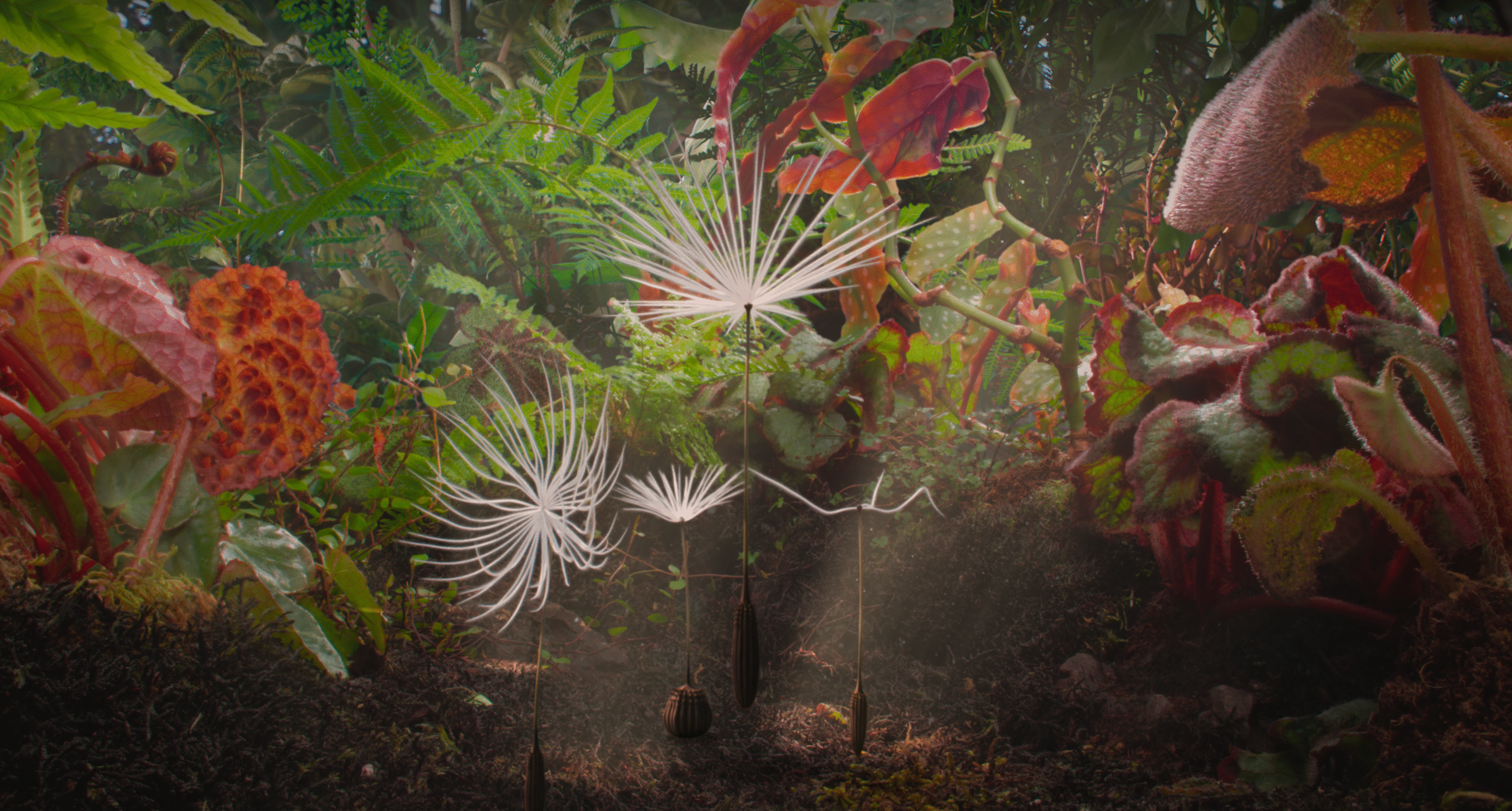 Dandelion’s Odyssey